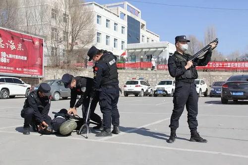 交警爆料歹徒视频大全  第2张